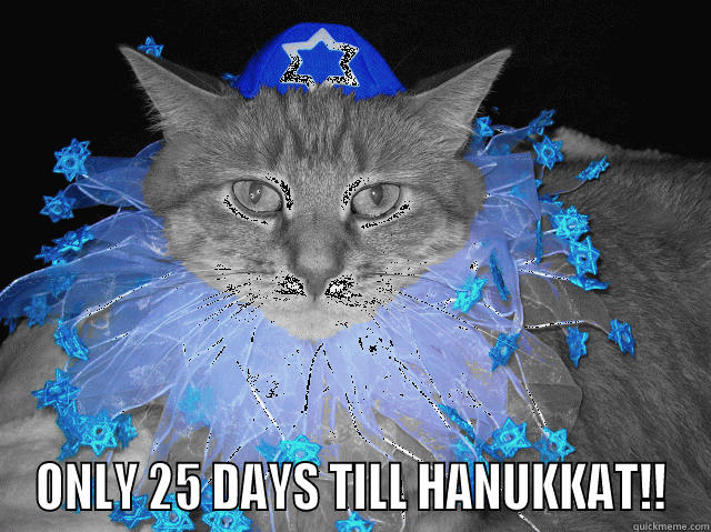   ONLY 25 DAYS TILL HANUKKAT!! Misc