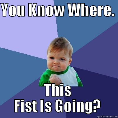YOU KNOW WHERE.  THIS FIST IS GOING? Success Kid
