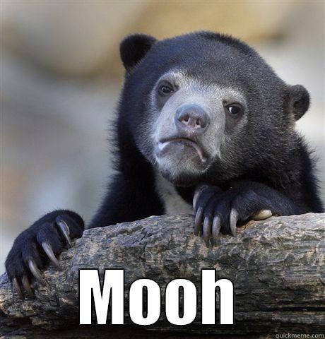  MOOH Confession Bear