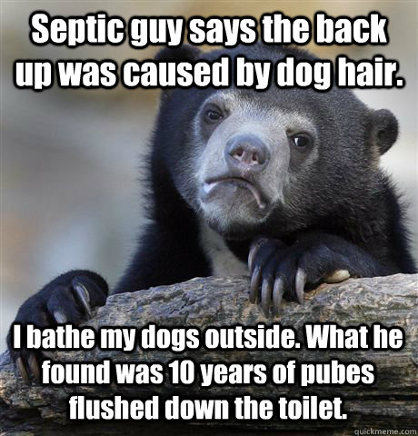 Septic guy says the back up was caused by dog hair. I bathe my dogs outside. What he found was 10 years of pubes flushed down the toilet. - Septic guy says the back up was caused by dog hair. I bathe my dogs outside. What he found was 10 years of pubes flushed down the toilet.  Confession Bear