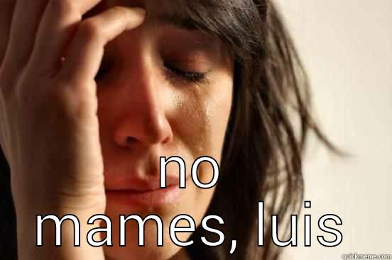  NO MAMES, LUIS First World Problems