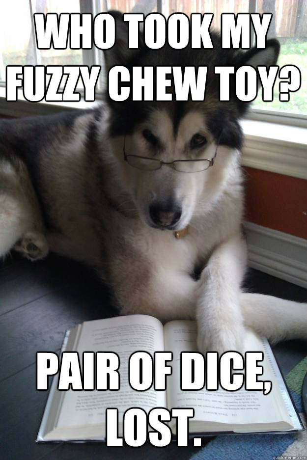 Who took my fuzzy chew toy? Pair of dice, lost.  Condescending Literary Pun Dog
