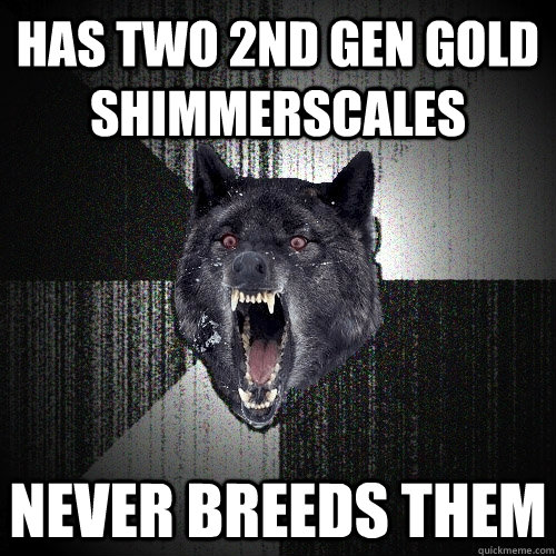 has two 2nd gen gold shimmerscales never breeds them - has two 2nd gen gold shimmerscales never breeds them  Insanity Wolf