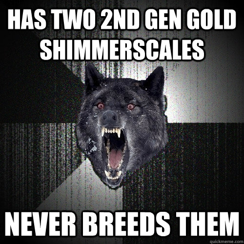 has two 2nd gen gold shimmerscales never breeds them  Insanity Wolf