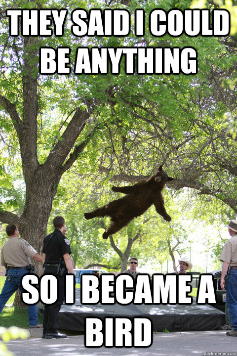 they said i could be anything so i became a bird - they said i could be anything so i became a bird  Misc