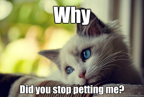 Why Did you stop petting me?  First World Problems Cat