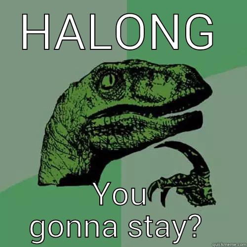 HALONG YOU GONNA STAY?  Philosoraptor