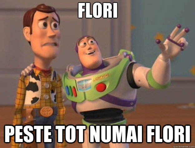 Flori peste tot numai flori  Toy Story