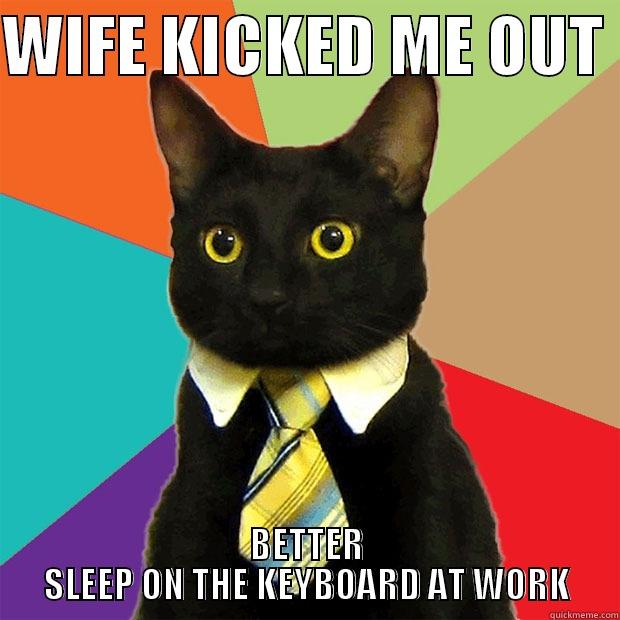 WIFE KICKED ME OUT  BETTER SLEEP ON THE KEYBOARD AT WORK Business Cat