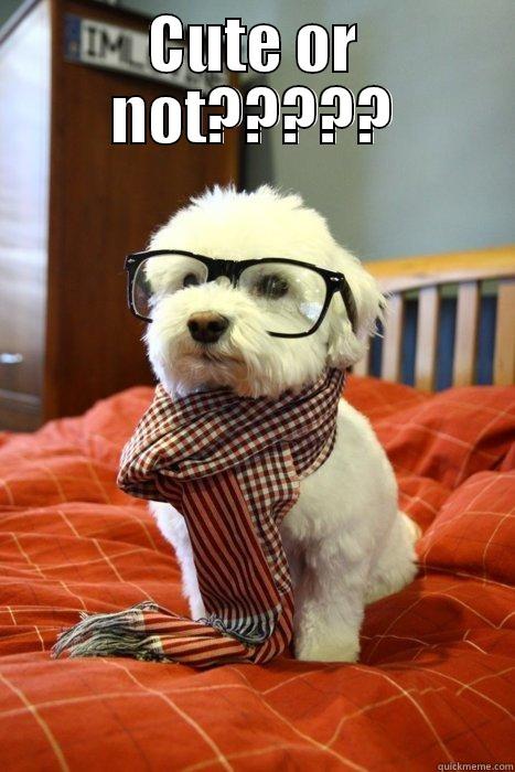 CUTE OR NOT?????  Hipster Dog