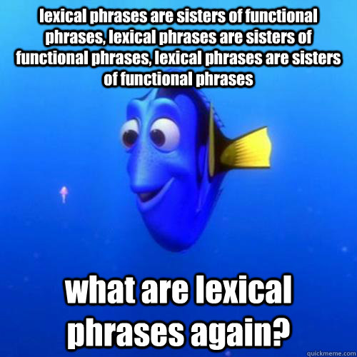 lexical phrases are sisters of functional phrases, lexical phrases are sisters of functional phrases, lexical phrases are sisters of functional phrases what are lexical phrases again?  dory