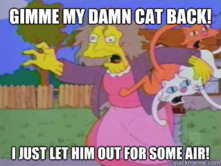 Gimme my damn cat back! i just let him out for some air!  Crazy Cat Lady