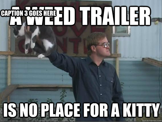 A weed trailer is no place for a kitty Caption 3 goes here - A weed trailer is no place for a kitty Caption 3 goes here  Bubbles knows