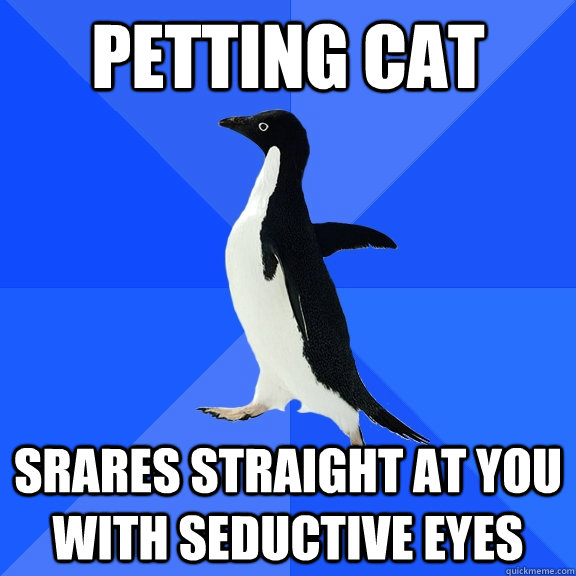 Petting cat Srares straight at you with seductive eyes  Socially Awkward Penguin