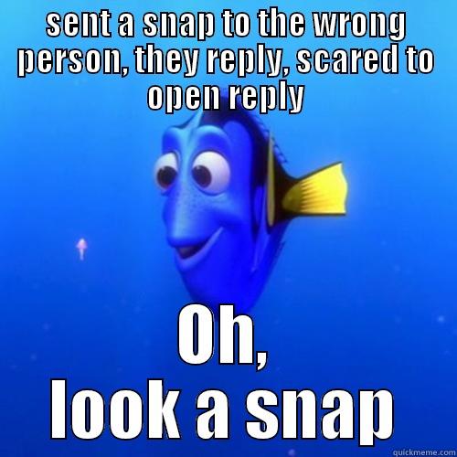 SENT A SNAP TO THE WRONG PERSON, THEY REPLY, SCARED TO OPEN REPLY OH, LOOK A SNAP dory