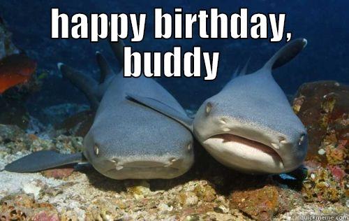 HAPPY BIRTHDAY, BUDDY  Compassionate Shark Friend