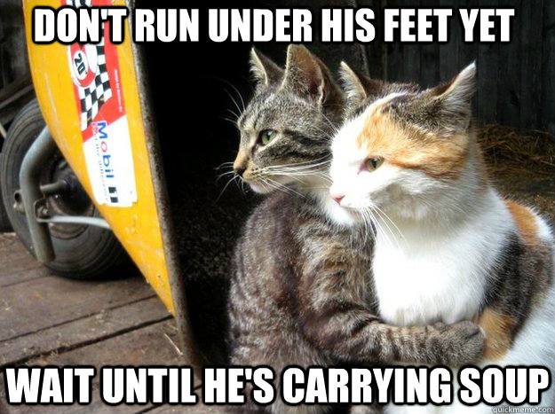 don't run under his feet yet wait until he's carrying soup  Restraining Cat