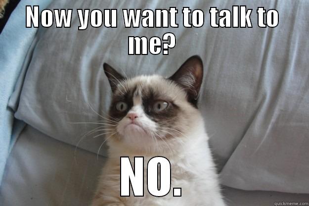 Wanna talk? - NOW YOU WANT TO TALK TO ME? NO. Grumpy Cat