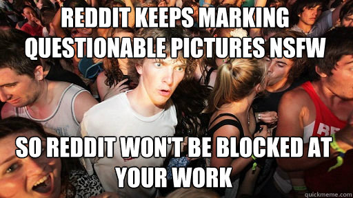 Reddit keeps marking questionable pictures NSFW
 So reddit won't be blocked at your work  Sudden Clarity Clarence