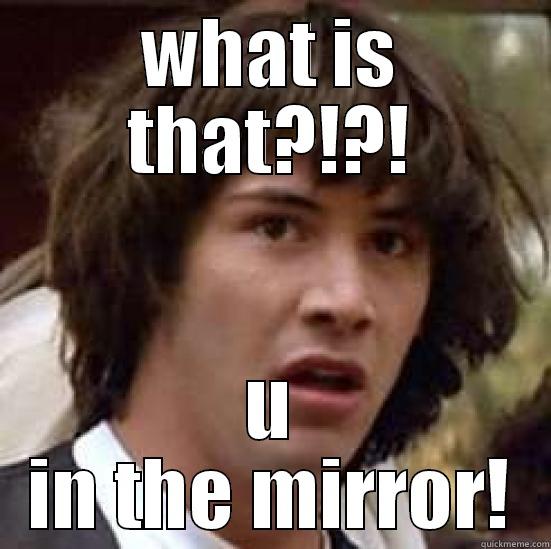 WHAT IS THAT?!?! U IN THE MIRROR! conspiracy keanu
