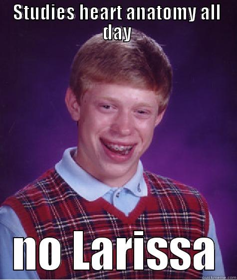 STUDIES HEART ANATOMY ALL DAY NO LARISSA Bad Luck Brian
