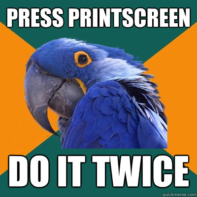 press printscreen do it twice  Paranoid Parrot