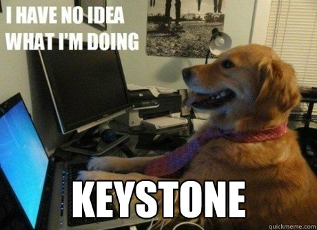  keystone -  keystone  I have no idea what Im doing dog