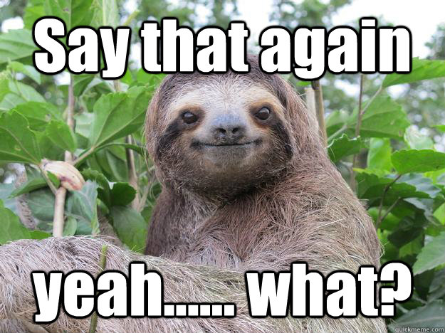 Say that again yeah...... what? - Say that again yeah...... what?  Stoned Sloth