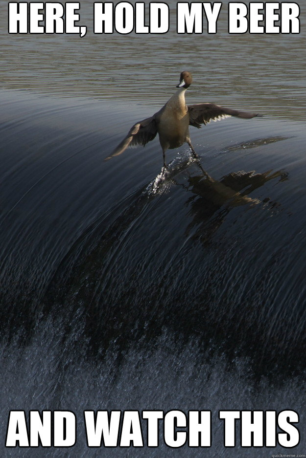 Here, Hold my beer and watch this - Here, Hold my beer and watch this  Gnarly Duck
