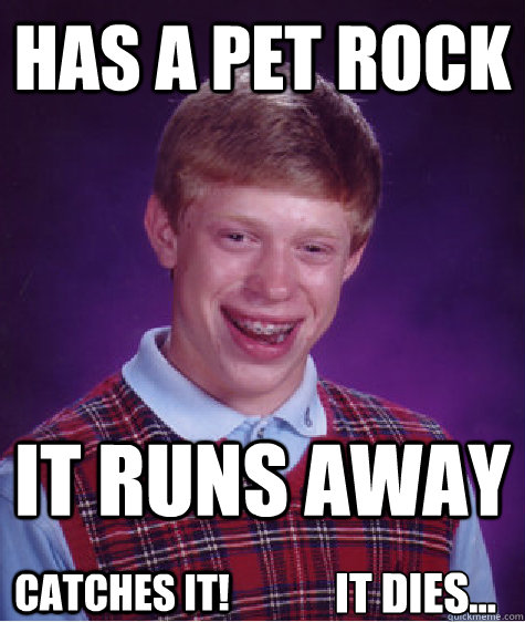 Has a Pet rock it runs away Catches it! it dies...
  Bad Luck Brian