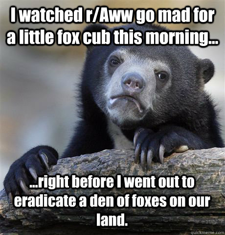 I watched r/Aww go mad for a little fox cub this morning... ...right before I went out to eradicate a den of foxes on our land.  Confession Bear