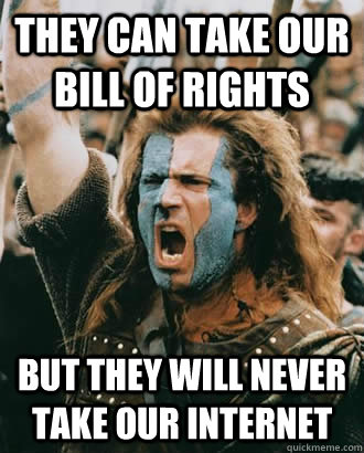 They can take our bill of rights but they will never take our internet - They can take our bill of rights but they will never take our internet  SOPA Opposer