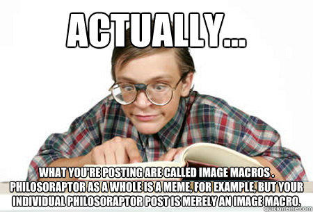 ACTUALLY... What you're posting are called image macros . Philosoraptor as a whole is a meme, for example, but your individual Philosoraptor post is merely an image macro.  Pedantic Nerd