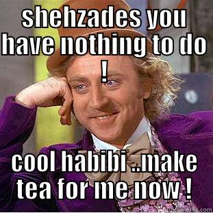 SHEHZADES YOU HAVE NOTHING TO DO ! COOL HABIBI ..MAKE TEA FOR ME NOW ! Condescending Wonka