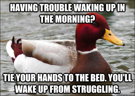 having trouble waking up in the morning? tie your hands to the bed. you'll wake up from struggling.  Malicious Advice Mallard