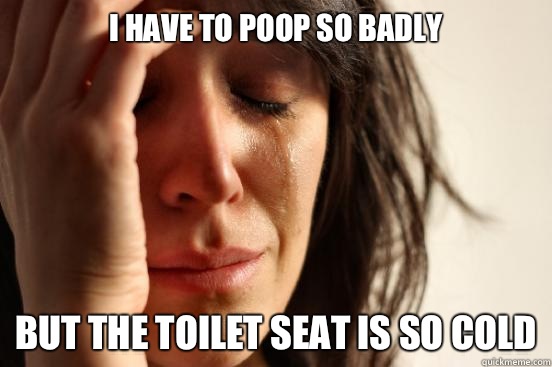 I have to poop so badly But the toilet seat is so cold  First World Problems