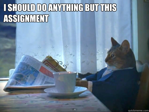I should do anything but this assignment   The One Percent Cat