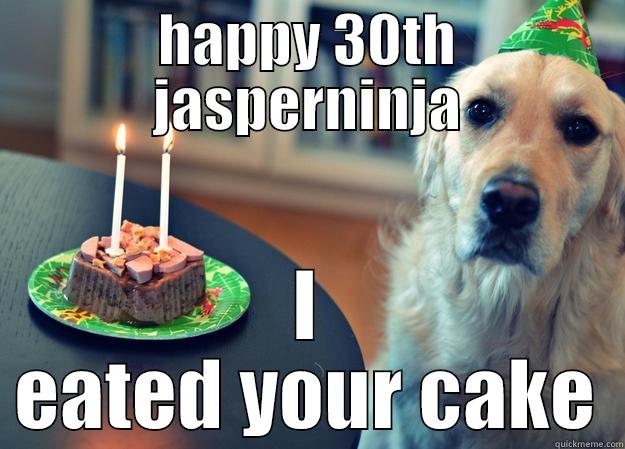 HAPPY 30TH JASPERNINJA I EATED YOUR CAKE Sad Birthday Dog