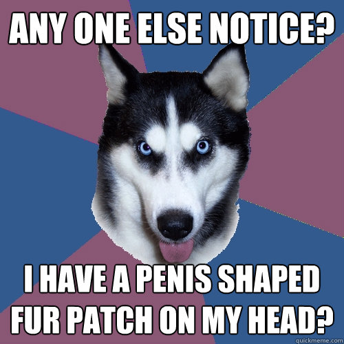 any one else notice? i have a penis shaped 
fur patch on my head? - any one else notice? i have a penis shaped 
fur patch on my head?  Creeper Canine