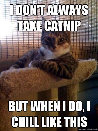 i don't always take Catnip but when i do, i chill like this  The Most Interesting Cat in the World