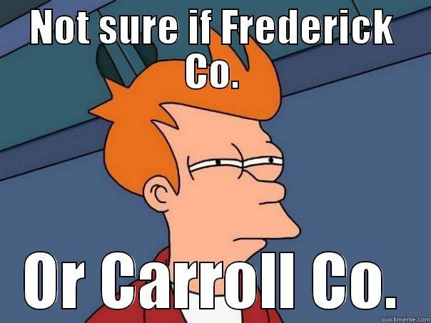 NOT SURE IF FREDERICK CO. OR CARROLL CO. Futurama Fry