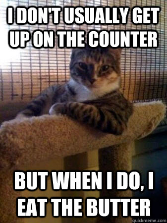 I don't usually get up on the counter but when I do, I eat the butter  The Most Interesting Cat in the World