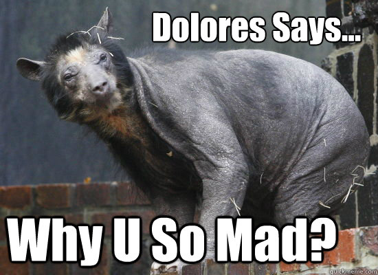 Dolores Says... Why U So Mad? - Dolores Says... Why U So Mad?  Hairless Bear