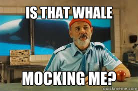 Is that whale mocking me? - Is that whale mocking me?  The Life Aquatic with Steve Zissou