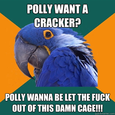 Polly want a cracker? Polly wanna be let the FUCK out of this damn cage!!!  Paranoid Parrot