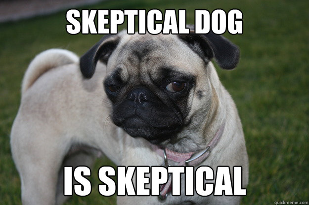 Skeptical Dog is Skeptical  