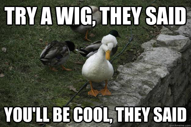 TRY A WIG, THEY SAID YOU'LL BE COOL, THEY SAID - TRY A WIG, THEY SAID YOU'LL BE COOL, THEY SAID  DEPRESSED FRO DUCK
