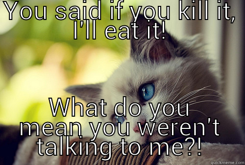 YOU SAID IF YOU KILL IT, I'LL EAT IT! WHAT DO YOU MEAN YOU WEREN'T TALKING TO ME?! First World Problems Cat