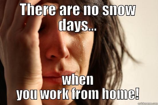 THERE ARE NO SNOW DAYS... WHEN YOU WORK FROM HOME! First World Problems