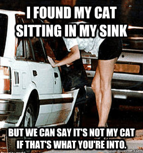I found my cat sitting in my sink But we can say it's not my cat if that's what you're into. - I found my cat sitting in my sink But we can say it's not my cat if that's what you're into.  FB karma whore